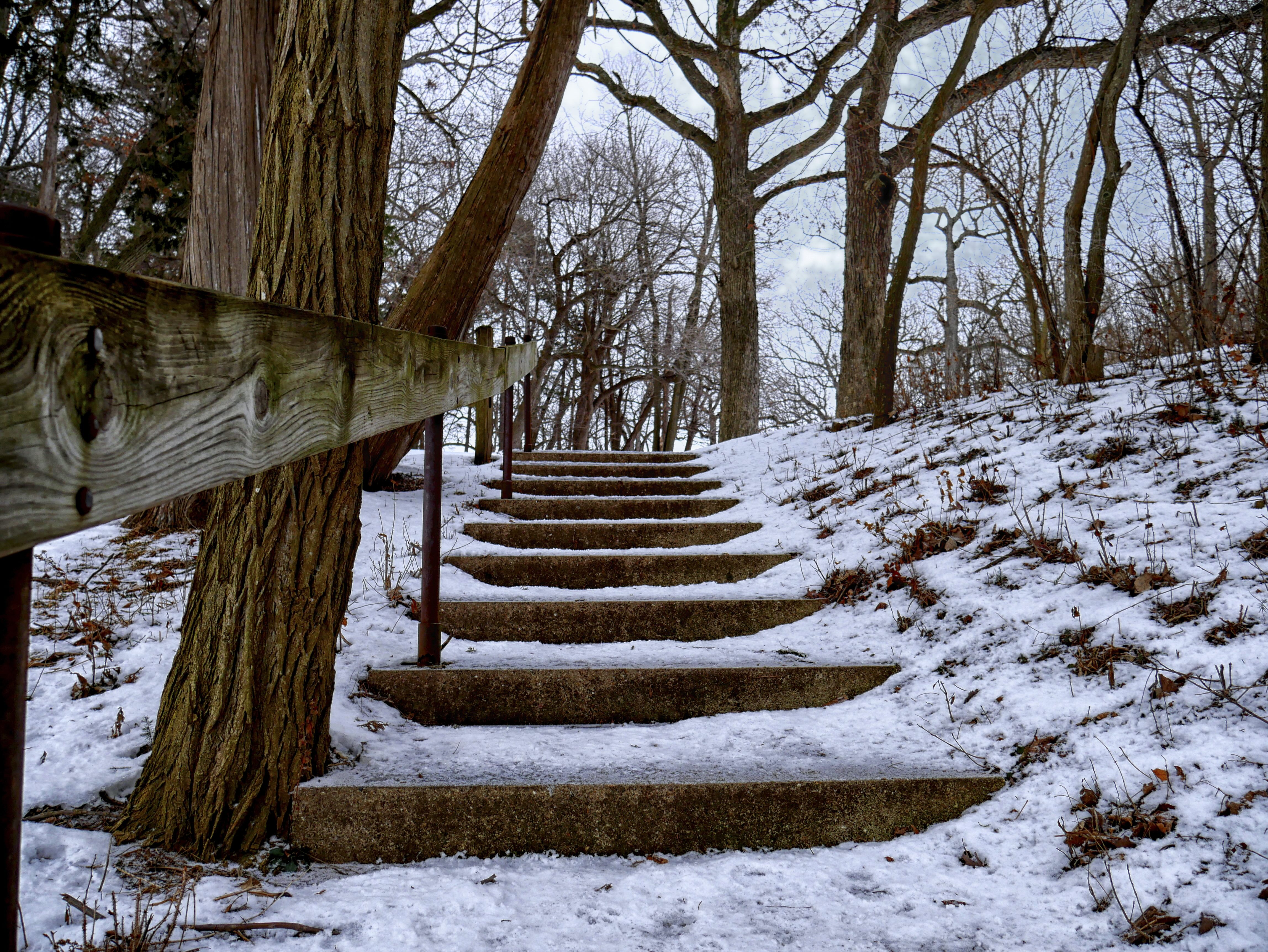 Stone stairs ascending through a snowy winter forest